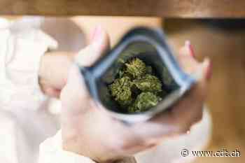 «Tutti i pazienti fumavano erba» - Corriere del Ticino