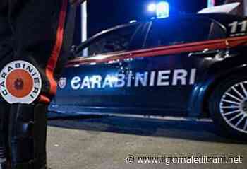 I controlli dei carabinieri di Trani a Ferragosto su attività, veicoli e persone: il report - Radio Bombo