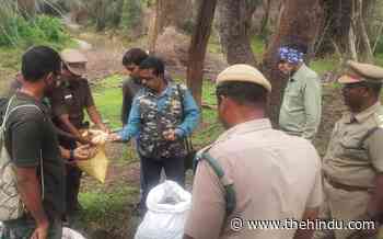Invasive plant species removed and native seeds sowed in forest areas in Sathyamangalam Tiger Reserve - The Hindu
