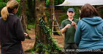 Introducing new teachers to the Forest School concept through free taster days - Devon Live