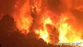 Video Forest fires reach record levels across globe - ABC News
