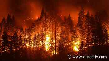 How to prevent Europe's forest fires – EURACTIV.com - EURACTIV