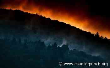 More Frequent Forest Fires, More Frequent Floods -- Is that the Future? - CounterPunch