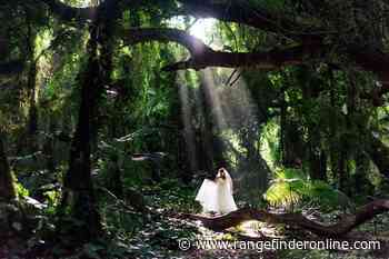 6 Top Tips for Taking Incredible Forest Portraits - Rangefinder Online