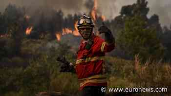 Smell of Portugal's forest fires reaches Madrid 300 kilometres away - Euronews