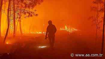 25 arrested in France for allegedly starting forest fires - Anadolu Agency | English