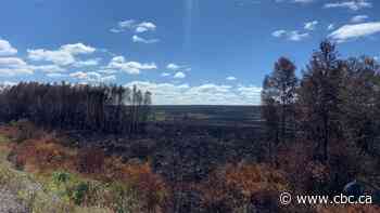 N.L.'s provincial fire ban to end at midnight, forest fires remain stable - CBC.ca