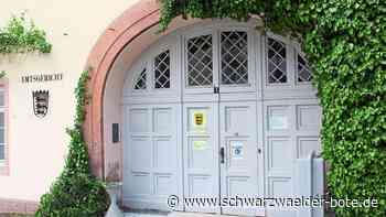 Prozess am Amtsgericht: Flucht lässt den Nagolder Angeklagten verdächtig wirken