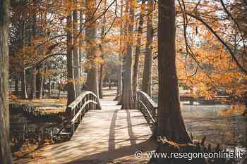 notizie da Lecco e provincia » A Lierna arriva "Ponti, partenza e via" - ResegoneOnline