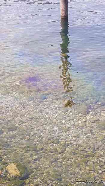 SVERSAMENTO DI GPL A LIERNA, ACQUE INTERDETTE - Lecco FM