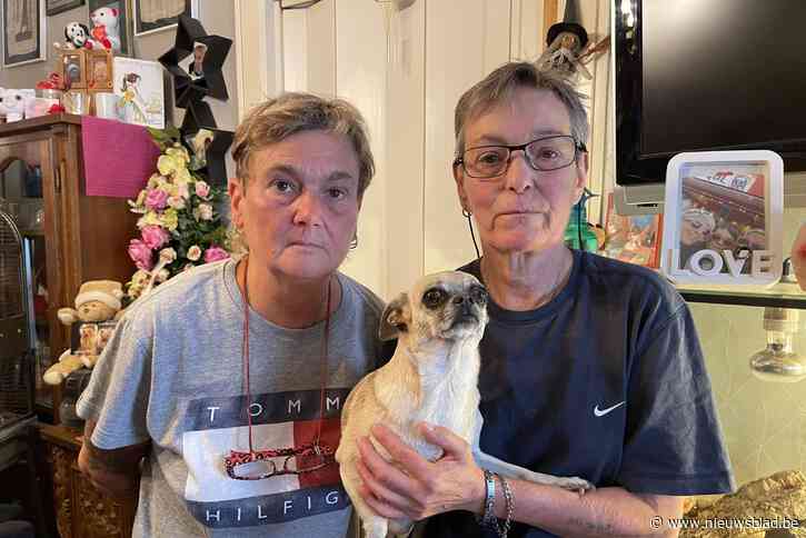 Hondje Lovely doodgereden voor ogen van baasje Patricia (61), bestuurder pleegt vluchtmisdrijf: “Tot twee blokken verder was haar gejank te horen”