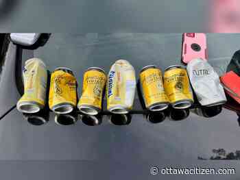 Driver triple legal alcohol limit after Island Park Drive 'road rage': RCMP