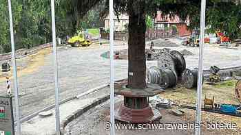 Mächtig Ärger in Höfen: Bürgermeister mahnt zur Besonnenheit