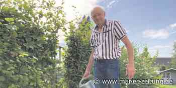 Belastetes Grundwasser an der Halde in Marl - Jetzt soll saniert werden - Marler Zeitung