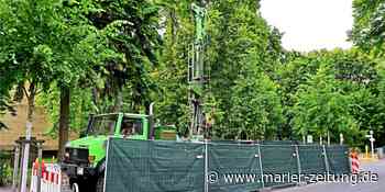 Moscheebau in Marl und Giftstoffe im Brunnenwasser sind Thema für die Politik - Marler Zeitung