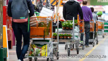 Gas-Krise: Hohe Nachfrage nach alternativen Heizmöglichkeiten