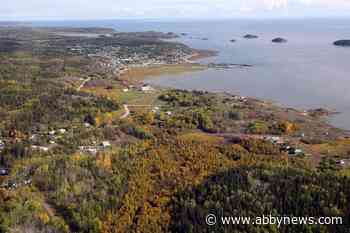 UNESCO team in Alberta to judge if Wood Buffalo Park should go on endangered list