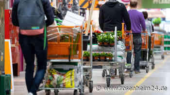 Gas-Krise: Hohe Nachfrage nach alternativen Heizmöglichkeiten