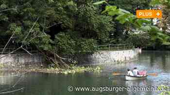 Nach dem Vorfall an der Kahnfahrt gibt es Sorgen um einen Baum in der Nähe