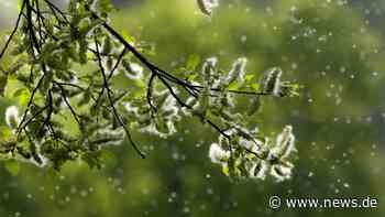 Biowetter Hildesheim heute: Belastung durch Pollen und Wetterwechsel aktuell am 17.08.2022 - news.de
