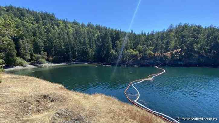 Sheen dissipates but sunken U.S. fish boat still in orca habitat east of Victoria
