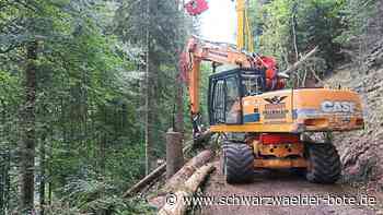 Holzernte in Bad Liebenzell: Sperrung der B463 wird am Samstagabend aufgehoben