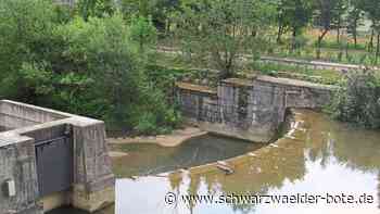 Hitze und Dürre - Balingen will geklärtes Wasser zum Gießen nutzen - Schwarzwälder Bote