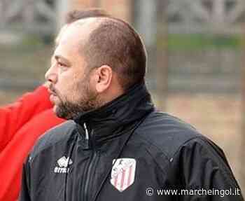 ATLETICO MACERATA. Si riparte: si allarga anche il settore giovanile - marcheingol.it