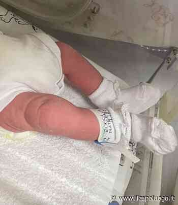 Benvenuta Emma Rocci, auguri a papà Luca e mamma Alba - Il Capoluogo