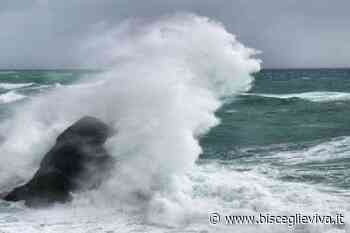 Bisceglie, forti raffiche di vento alle prime luci dell'alba - BisceglieViva