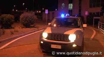 Rissa all'alba di Ferragosto, quattro feriti. Ad uno è stato staccato il lobo dell'orecchio. Arrestato un tara - quotidianodipuglia.it