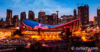 You can get a behind-the-scenes tour of the Calgary Saddledome for FREE but only until the end August - Curiocity