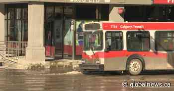 Calgary Transit to entice riders with new trivia bus - Global News