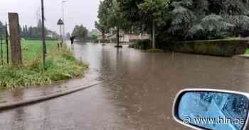 Riemst pakt jarenlange wateroverlast aan | Riemst | hln.be - Het Laatste Nieuws