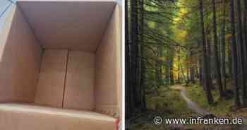 Tierheim Kulmbach macht furchtbaren Fund in Karton: Mitarbeiter 'schockiert und traurig' - inFranken.de