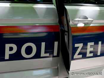 15-jähriger Wiener verkaufte Kinderpornographie im Internet - VIENNA.AT - Alles über Wien