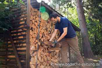 Schnäppchen-Holz aus dem Internet kann teuer werden - Wirtschaft - badische-zeitung.de