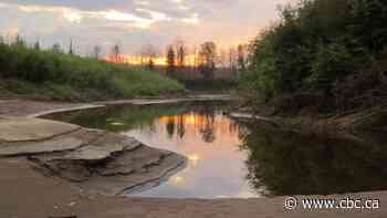 Is Wood Buffalo National Park 'in danger'? UNESCO investigators are in Canada to find out