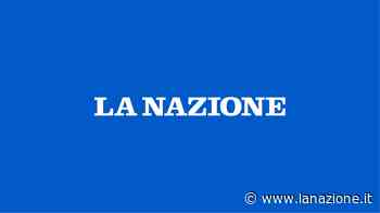 Allievi B: c’è soltanto la Zenith Prato - LA NAZIONE