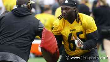 Former Bengal, current Steelers' DT Larry Ogunjobi is looking forward to facing his former team in Week 1