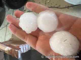 Significant crop damage reported in recent storms - WestCentralOnline.com