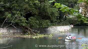 Augsburg: Nach dem Vorfall an der Kahnfahrt gibt es Sorgen um einen Baum in der Nähe | Augsburger Allgemeine - Augsburger Allgemeine