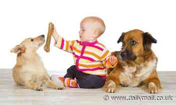 Giving dogs treats DOESN'T make them like you more because they don't remember generosity