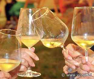 A Grado torna Calici di Stelle, 2 serate tra vino e prelibatezze gastronomiche - Virgilio