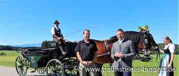 Traunstein: Rosserer im Auftrag der Stadt: Hanse Jobst versorgt die zwei Kaltblüter der Stadt Traunstein - Traunsteiner Tagblatt