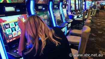 Queenslanders lose record amount on pokies. Is it time to remove machines from pubs and clubs?