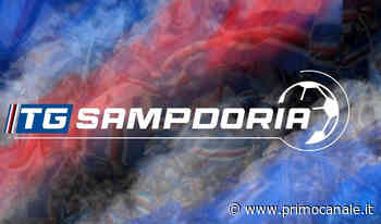 Tg Sampdoria del 17 agosto 2022 - Primocanale.it - Le notizie aggiornate dalla Liguria - Primocanale