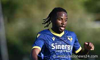 Milan Tameze, i rossoneri pensano anche al mediano del Verona: le ultime - Calcio News 24