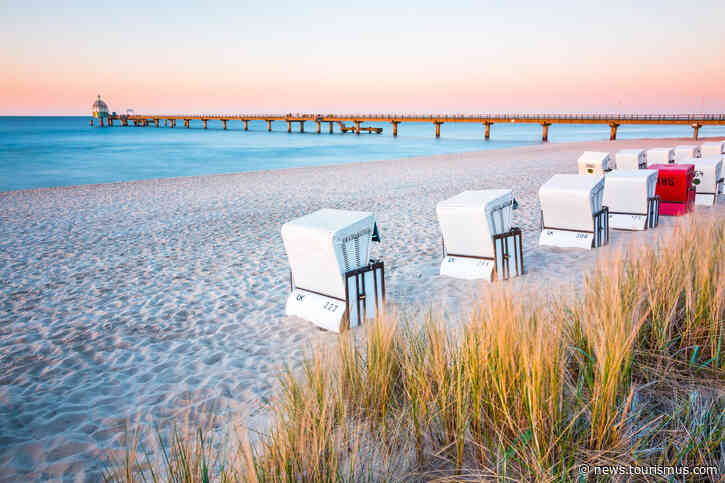 Rätselhaftes Fischsterben in Oder: Ostsee-Urlaub in Gefahr?