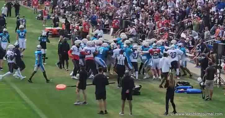 'Crazy' Brawl Between Players at NFL Practice Spills Into the Stands, Fan Requires Medical Attention